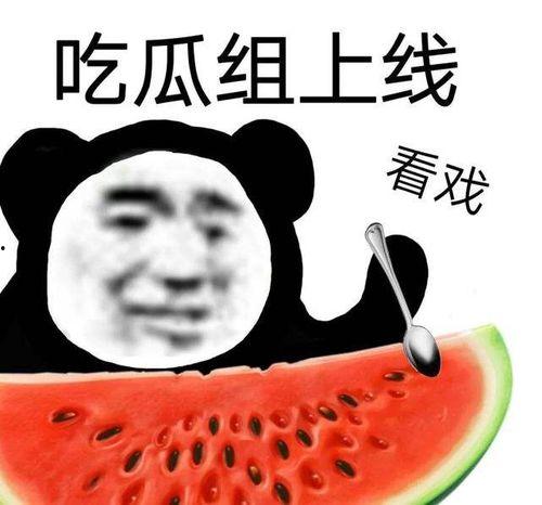 网曝吃瓜热点,揭秘娱乐圈最新八卦风云