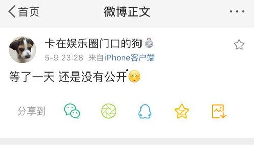 吃瓜爆料单,吃瓜爆料单背后的惊人真相
