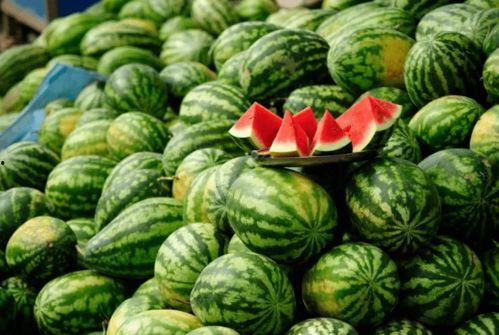 网红去哪里吃瓜,探寻热门吃瓜地点