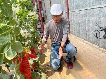 打卡网红吃瓜地