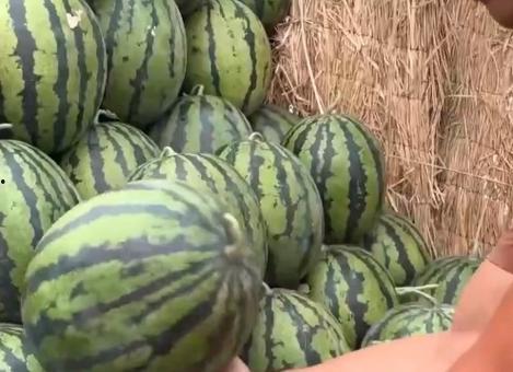 全国网红吃瓜网站有哪些,揭秘热门平台背后的故事 第3张 全国网红吃瓜网站有哪些,揭秘热门平台背后的故事 第3张