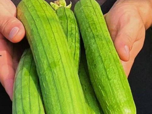 讲吃瓜爆料,吃瓜爆料背后的真相与内幕  第3张