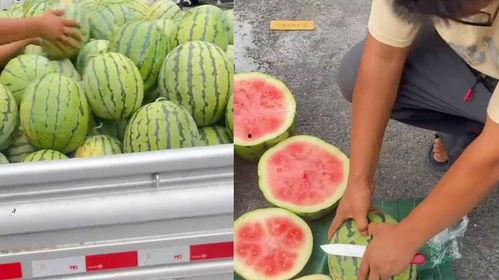 临沂吃生瓜网红女的,挑战极限美食新风尚 第2张 临沂吃生瓜网红女的,挑战极限美食新风尚 第2张