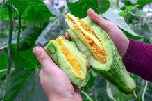 古风网红吃瓜,揭秘娱乐圈幕后风云 第3张 古风网红吃瓜,揭秘娱乐圈幕后风云 第3张