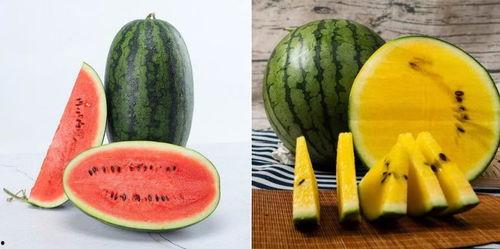 8ys6吃瓜网,热门话题背后的真相与趣味  第3张