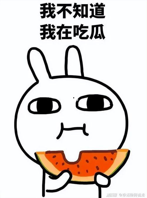 娱乐吃瓜君和毒舌,揭秘娱乐圈背后的真相  第2张