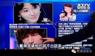 娱乐吃瓜蜀黍广告视频在线观看,揭秘热门广告视频，带你领略网络娱乐新风尚  第3张