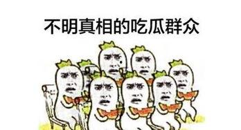 什么叫吃瓜群众视频  第2张