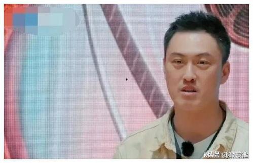 娱乐圈108吃瓜,揭秘明星背后的秘密与八卦  第2张