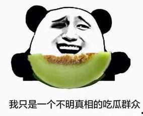 当个吃瓜群众就好,轻松解读娱乐圈风云变幻